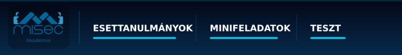 Esettanulmányok